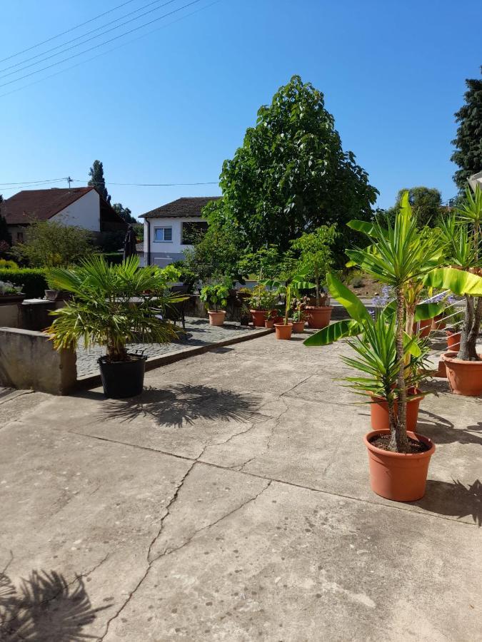 Ferienwohnung "Zum Alten Kuhstall" Oberhausen  Exterior foto