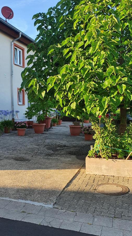 Ferienwohnung "Zum Alten Kuhstall" Oberhausen  Exterior foto