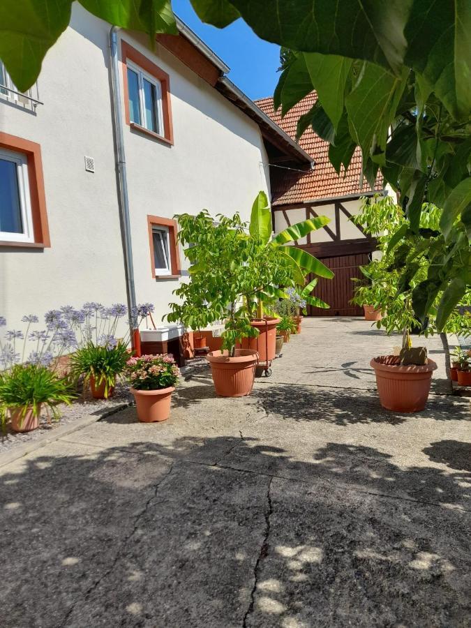 Ferienwohnung "Zum Alten Kuhstall" Oberhausen  Exterior foto